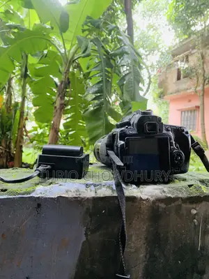 Canon Proffetion 60d Body + (75-300) Zoom Lens