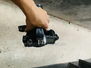 Canon Proffetion 60d Body + (75-300) Zoom Lens