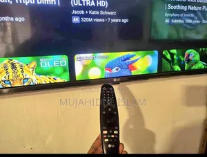 Lg Voice Control Smart Tv