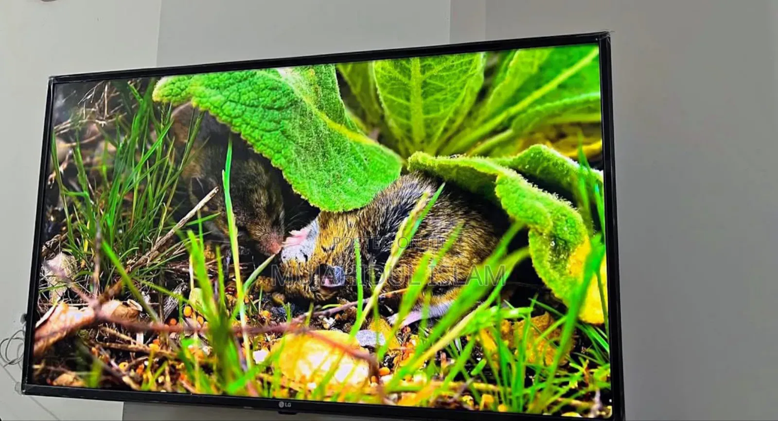 Lg Voice Control Smart Tv