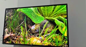 Lg Voice Control Smart Tv