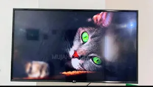 Lg Voice Control Smart Tv