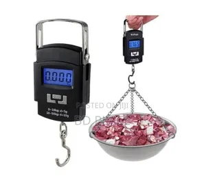 Electronic Portable LCD Digital Scale (Ed-1601)