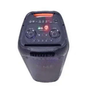 Vision Party Speaker Beat Booster 201