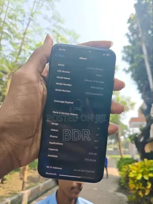 Apple iPhone 11 Pro Max 256 GB Green