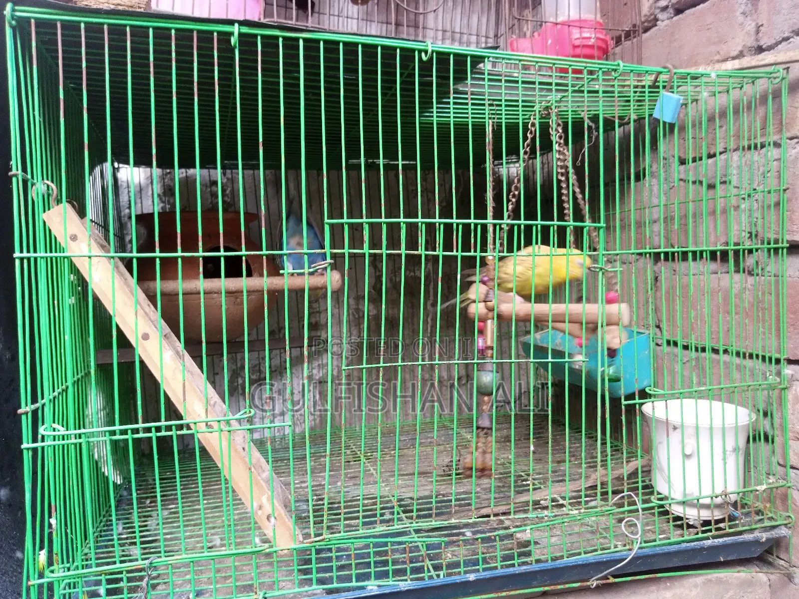 Pakhi Khacha With Pakhi