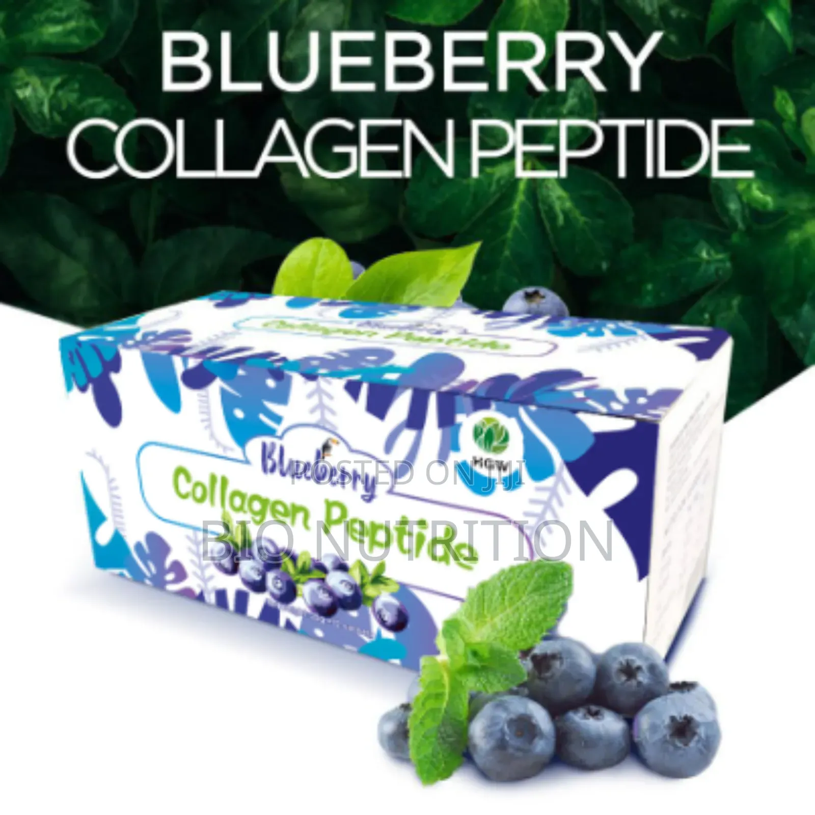 Blue Berry Collagen Peptide (কোলাজেন পেপটাইড)