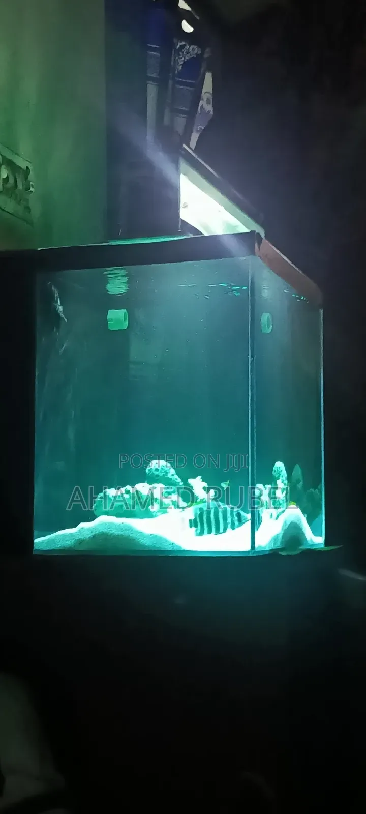 15 Cube 6mm Crystal Clear Glass Backsump Aquarium