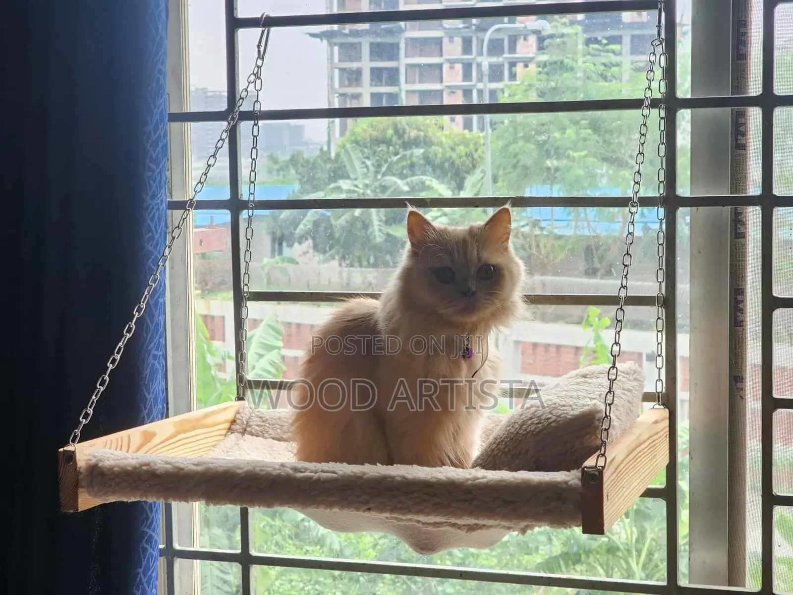 Cat Window Hammock