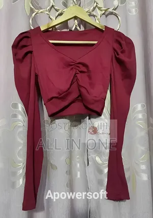 Crop Top Blouse Full Sleeve Half Body