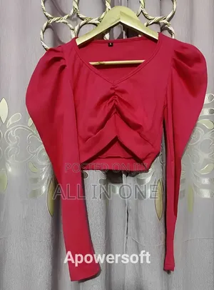 Crop Top Blouse Full Sleeve Half Body