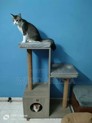 Photo - Cat Tree House