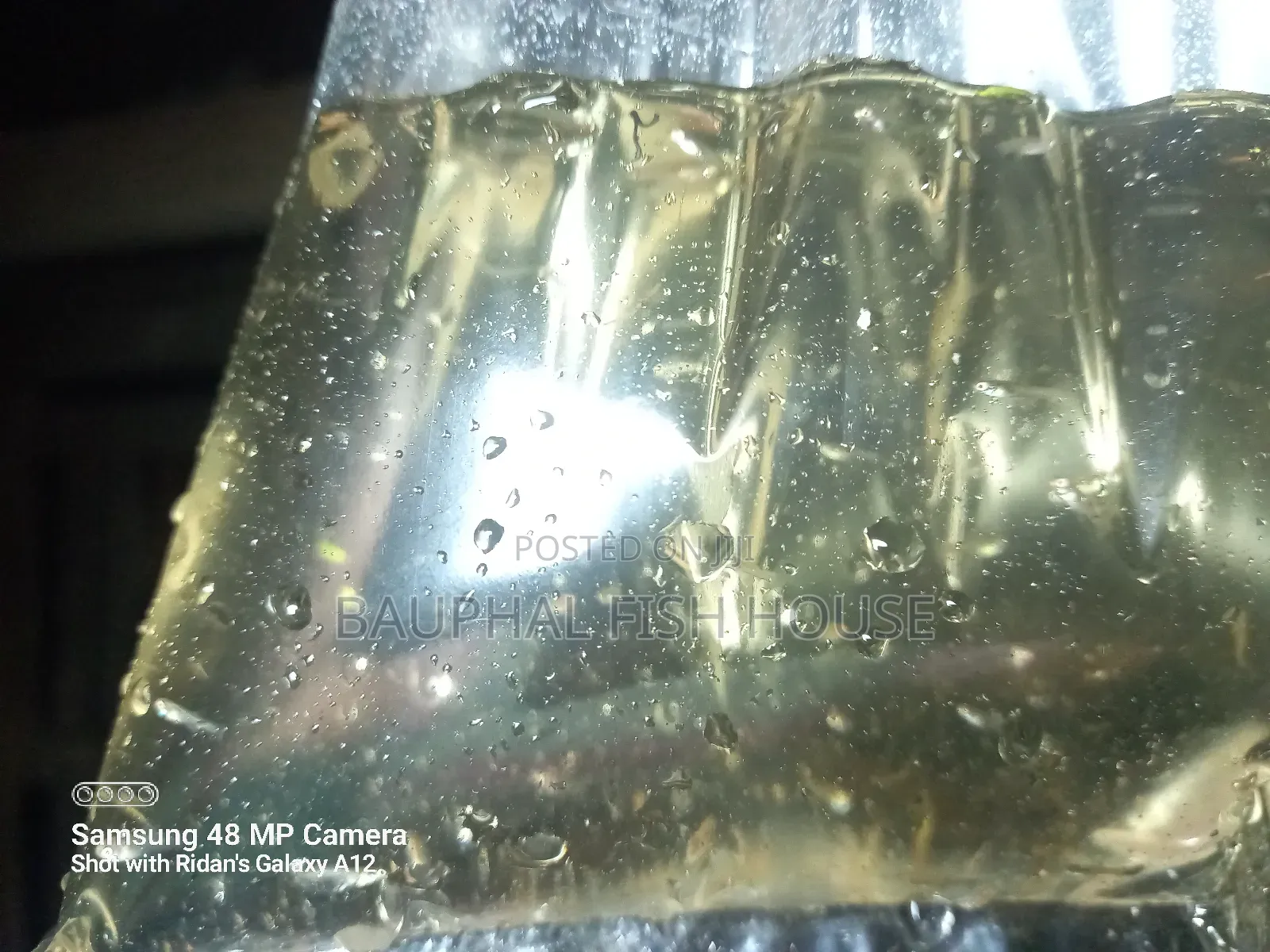 Guppy Fry 0-20 ( 500 Pcs)