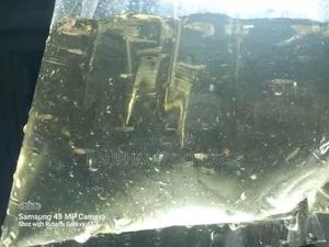 Guppy Fry 0-20 ( 500 Pcs)