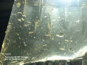 Guppy Fry 0-20 ( 500 Pcs)