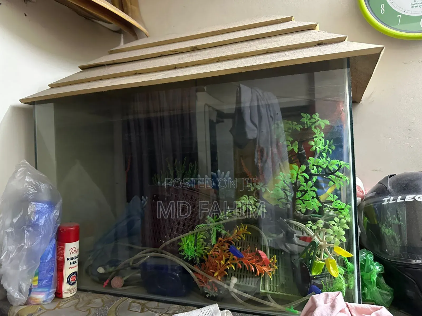 একুরিয়াম /Aquarium