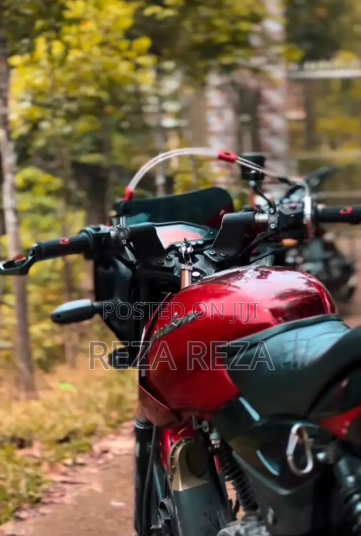 Bajaj Pulsar 150 2011 Red