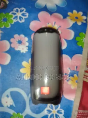 Amr Ei JBL Pluse 4 E Kono Dhoroner Somossa Nai