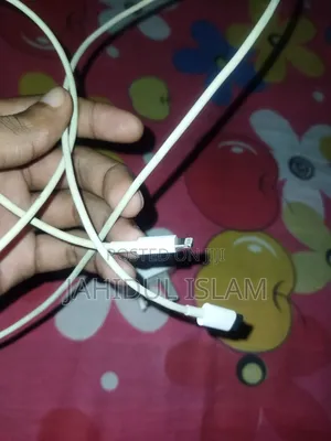 Apple 20w Adapter Cable