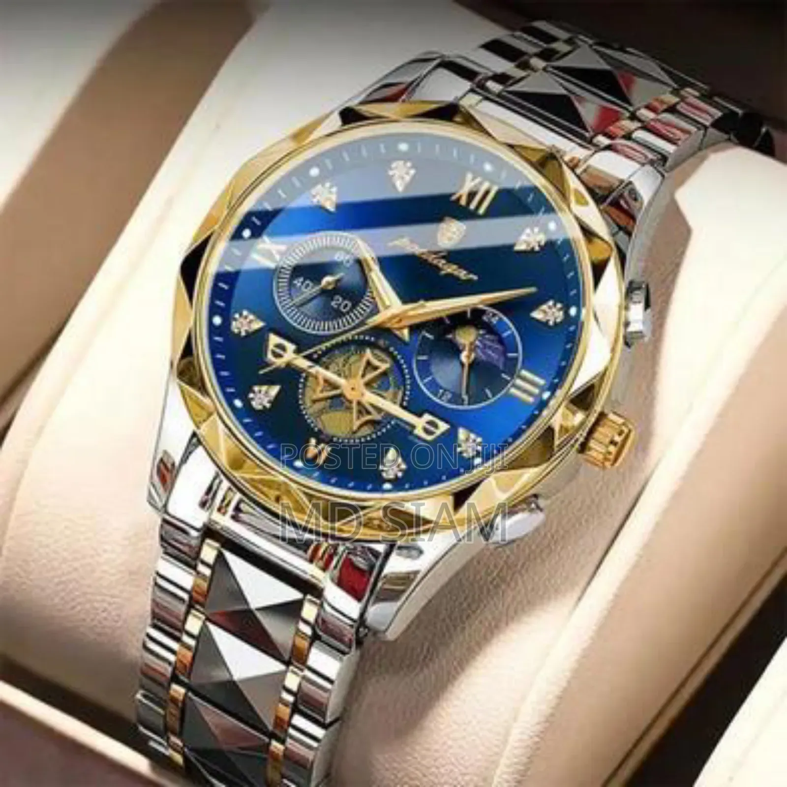 Poedagar Luxury Man Wristwatch