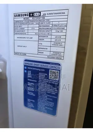 2 Door Samsung Freeze