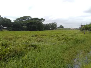 Photo - Jolshiri Abashon Land Near 150 Road 30 Bigha Land Sale