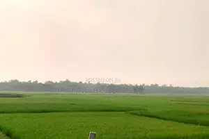 Photo - 2000 Bighas of Land for Sale, Fulbaria, Gazipur