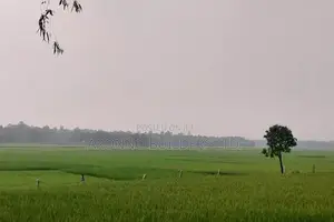 2000 Bighas of Land for Sale, Fulbaria, Gazipur