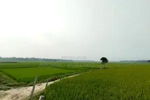 2000 Bighas of Land for Sale, Fulbaria, Gazipur