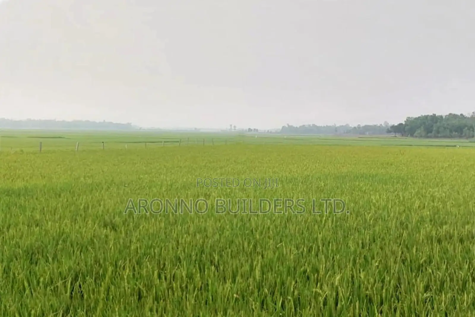 Big Land for Sale 2000 Bighas, Fulbaria, Gazipur