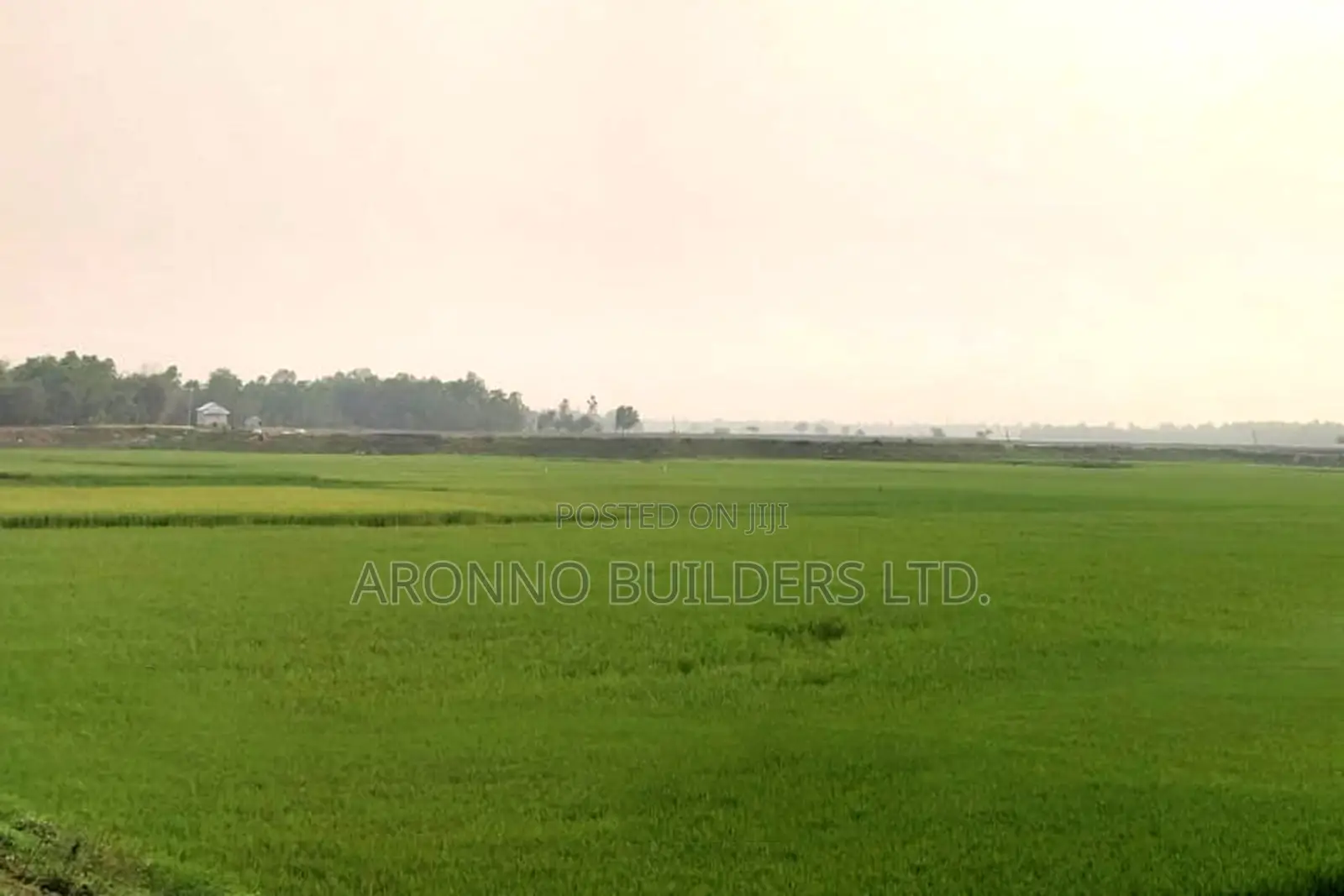 Big Land for Sale 2000 Bighas, Fulbaria, Gazipur