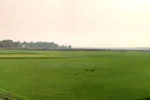 Photo - Big Land for Sale 2000 Bighas, Fulbaria, Gazipur