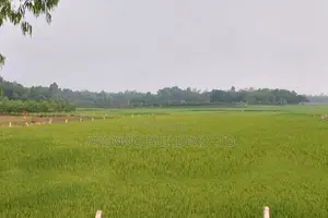 Big Land for Sale 2000 Bighas, Fulbaria, Gazipur
