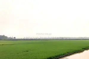 Big Land for Sale 2000 Bighas, Fulbaria, Gazipur