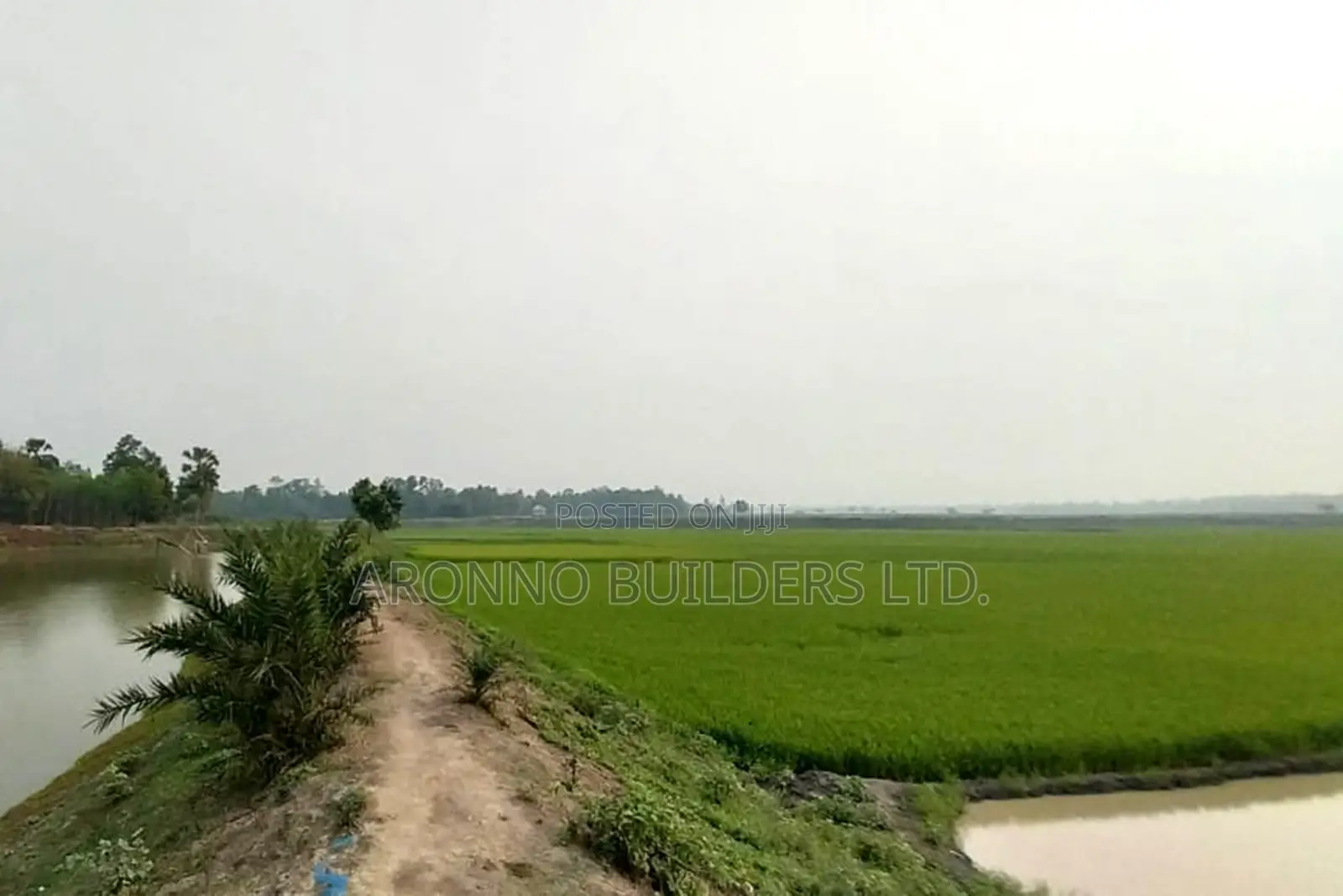 Big Land for Sale 2000 Bighas, Fulbaria, Gazipur