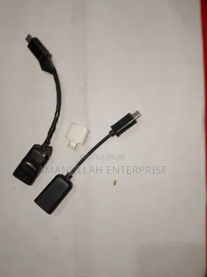 Photo - Otg (On-the-Go) Adapter. Connect a Usb Flash Drive or Usb a Cable.