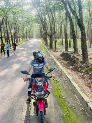 Bajaj Pulsar 150 2012 Red