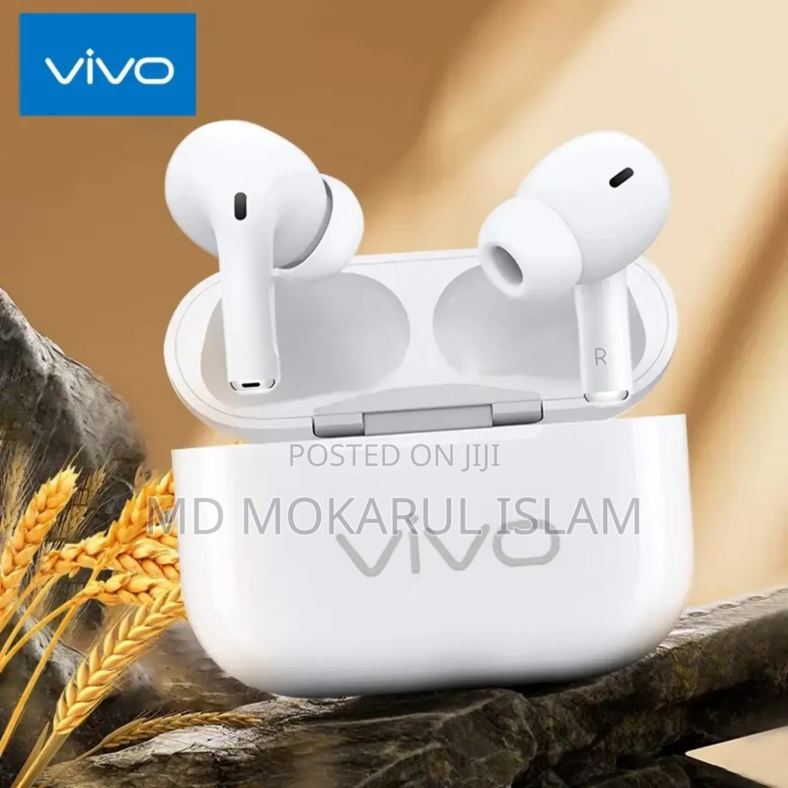 Vivo Airpods Pro