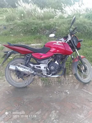 Bajaj Pulsar 150 2010 Red