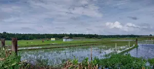 Cox's Bazar, Plot Sell, Marine Drive Road