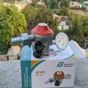 গ্যাস সেফটি রেগুলেটর