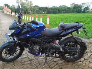 Bajaj Pulsar NS 160 2020 Blue