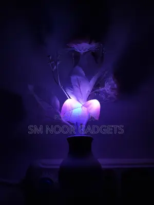 Color Changing Led Night Light – Auto Sensor Energy Saving Lamp