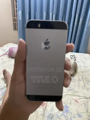 Apple iPhone 5s 32 GB Gray