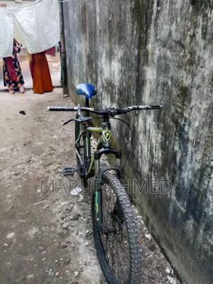 Paerless Cycle Size 26"