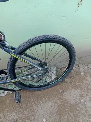 Paerless Cycle Size 26"