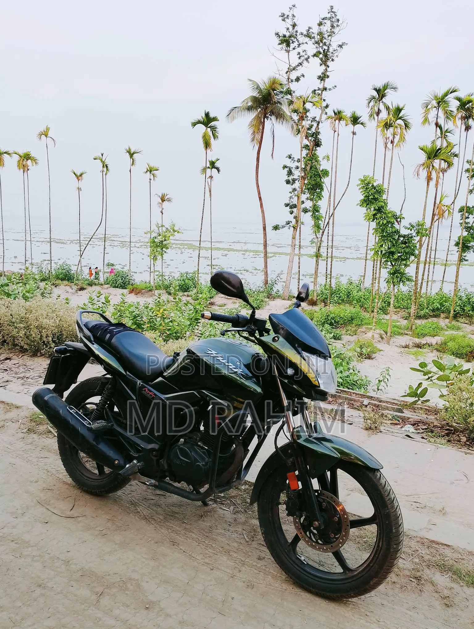 Hero Hunk 150 2017 Green