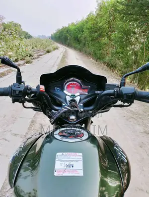 Hero Hunk 150 2017 Green