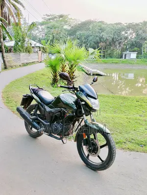 Hero Hunk 150 2017 Green