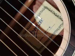 Deviser Ls-161 Eq Premium Acoustic-Electric Guitar – Mint Condition